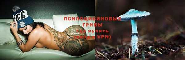 дмт Бронницы