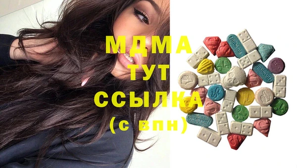 хмурый Верея