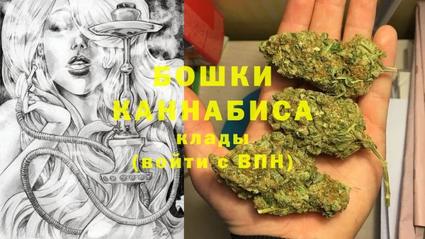 дмт Бронницы